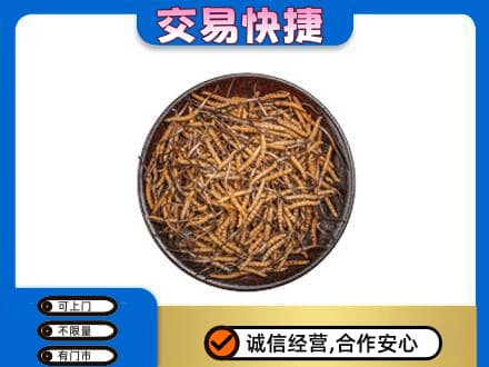 焦作博爱县回收散虫草